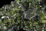Lustrous Epidote Crystal Cluster - Pakistan #68249-1